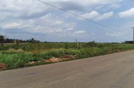 MAPEAMENTO GEOMORFOLÓGICO DA BACIA DO IGARAPÉ BELMONT PORTO VELHO RONDÔNIA 5 Denudacional Estrutural Tabular com muito fraco entalhamento dos vales e grande dimensão interfluvial (DEt 12) Superfície