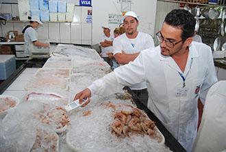 Alimentos refrigerados Leite resfriamento no local