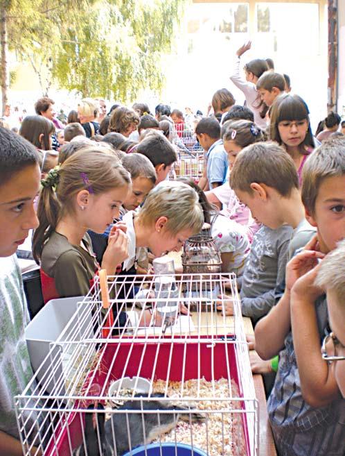 је ну и школ ски при бор што ће би ти по де ље но де ци сла би јег ма те ри јал ног ста ња.