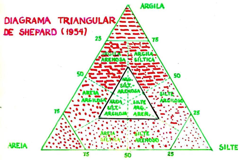 IMPORTÂNCIA