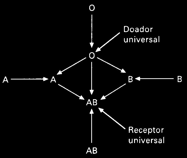 Proteína A Anti B B I B I B, I B i Proteína B Anti A AB I A I B Proteínas A e B Ausentes sem anticorpos não oferece