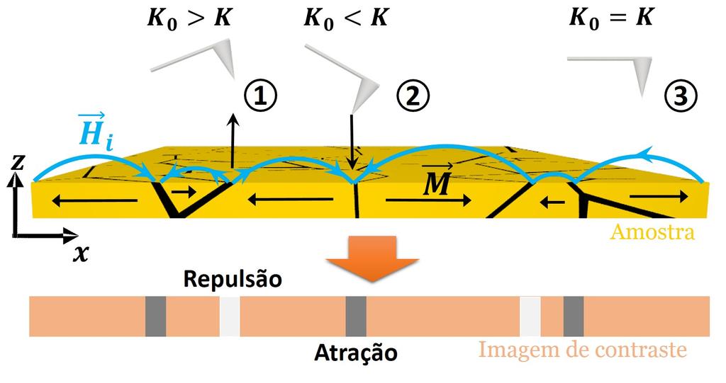 2.7. MICROSCOPIA DE FORÇA MAGNÉTICA (MFM) saindo da ponta a constante diminui (posição 2, figura 2.12). Figura 2.