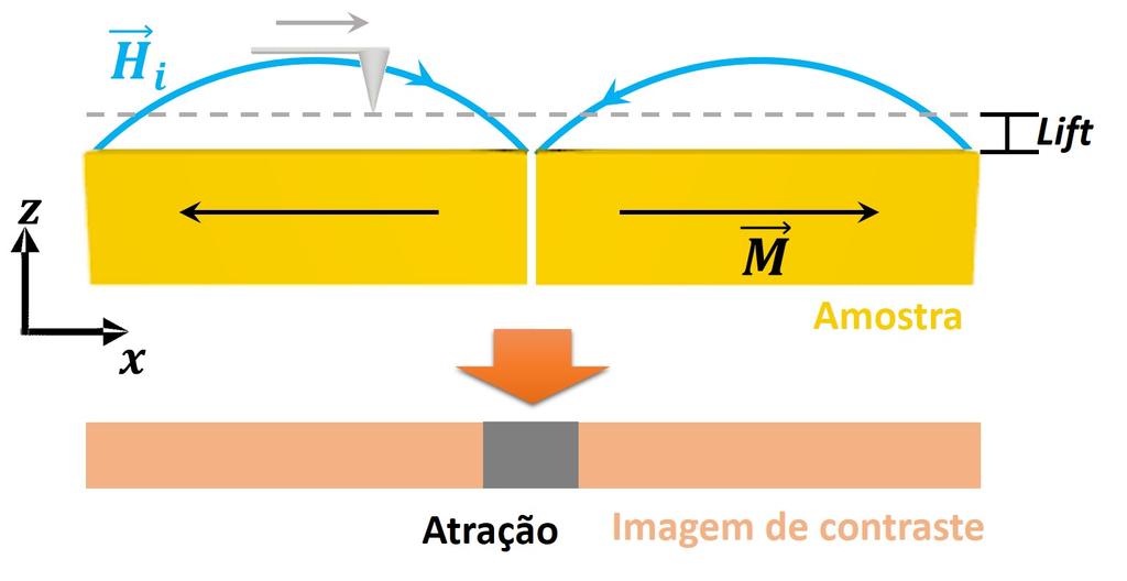 um lift menor faz os efeitos da divergência menores e melhora a resolução. Uma ampliação para 2 2 µm 2 (Figura 3.