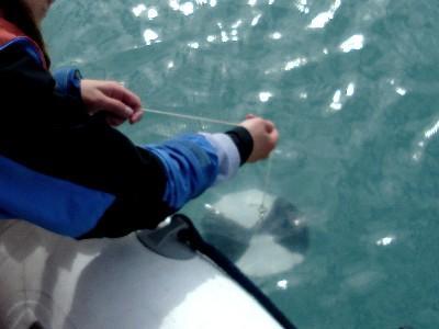 Transparência Mergulha-se o disco no lado da sombra do barco, através de uma corda marcada.