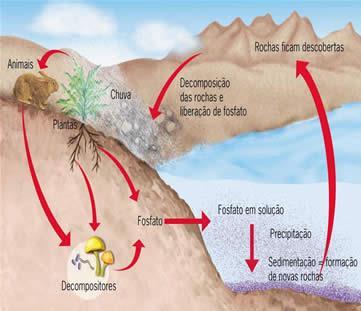 CICLO DO FÓSFORO http://qnint.sbq.org.br/qni/visualizartema.php?
