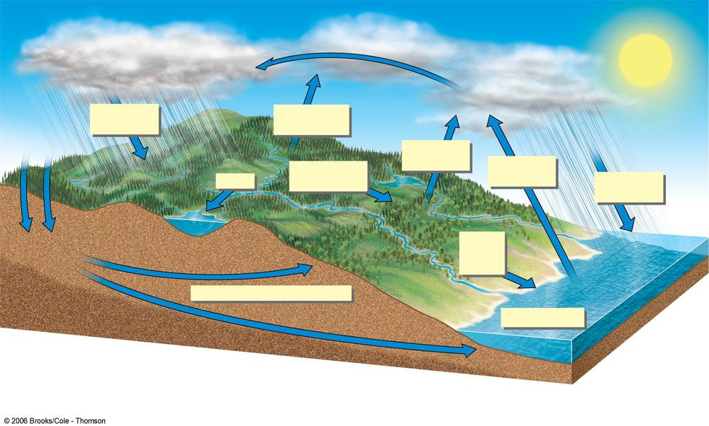 O ciclo da Água Condensação Nuvens de chuva Precipitação Precipitação na terra Escoamento Transpiração das plantas Escoamento Superficial (rápido) Transpiração Evaporação vinda da terra