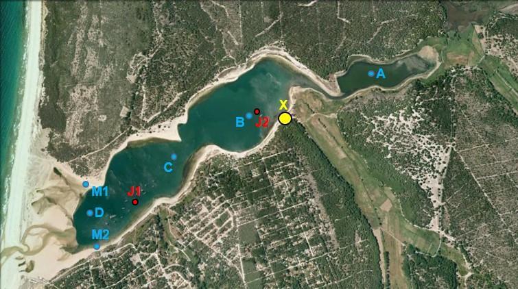 redes noutras zonas da Lagoa, foram feitos três lances por campanha de amostragem, em três pontos localizados na mesma zona (zona X na Figura 1) e cobrindo áreas adjacentes.