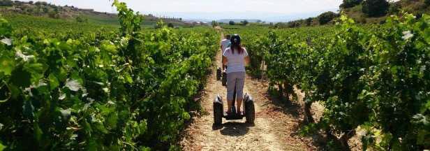 Pela tarde, será realizada uma visita a mais uma adega da região, Bodegas Baigorri, com arquitetura e caráter simplista, prática e muito inovadora, esta adega dispõe de um mirante de vidro com vista