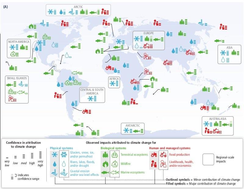 Consequências para a sociedade IPCC WGII,