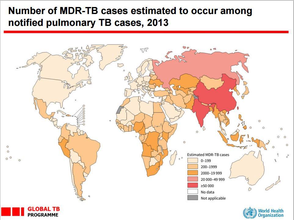 NÚMERO ESTIMADO DE CASOS DE TB-MDR ENTRE OS CASOS NOTIFICADOS DE TB PULMONAR, 2013 Índia, China, Rússia,