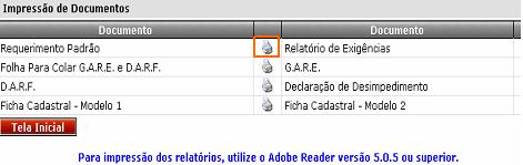 Importante: Inserir apenas os dados pertinentes ao processo, caso contrário irá gerar várias GARES e