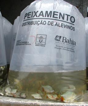 ao consumo de peixe como fonte de proteína no NE Metade