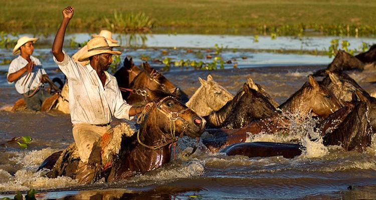 PANTANAL