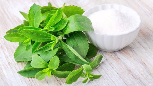 Edulcorantes Naturais Esteviosídeo Estraído de Stevia rebaudiana; Doçura intensa