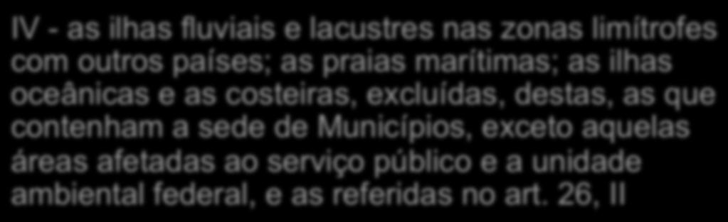 fluviais IV - as ilhas fluviais e lacustres nas zonas limítrofes com outros países; as praias marítimas; as ilhas oceânicas e as costeiras,