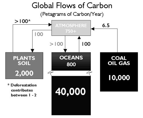 Ciclo do Carbono: