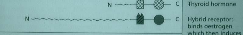 hormona Receptor híbrido Domínio