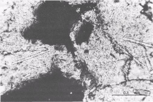 Several field evidences suggest interaction between potassium dioritic and granitic magmas as responsible for the observed lithologies. The most important features are: a.