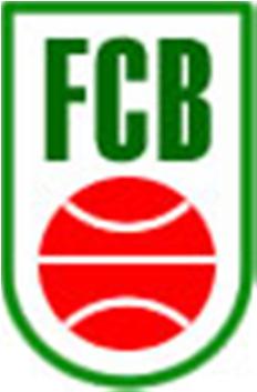 D Brusque / FME / São Luiz Leandro Sehnem Gabriela Augusta Pilatti Jaime Luis de Oliveira Wellyngton Portes Guimarães Representante FCB Repres.