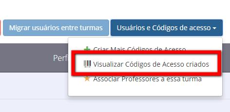 Após inserir todas as informações clique em Criar turmas. Importante: caso precise criar mais chaves de acesso nesta turma será possível depois.