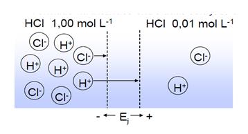 Potencil de junção líquid Surge n interfce entre eletrólitos diferentes ou entre mesmo eletrólito com diferentes