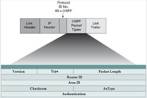 Tabela 2 Pacotes OSPF Tipo Nome Função Type 1 Hello Utilizado para detectar e manter relações de vizinhança.