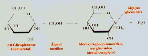 Monossacarídeos Reações Formação de glicosídeos Um açúcar com um grupo OH ligado a um C anomérico pode reagir com outra hidroxila para