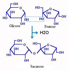 Figura 2.39 Demonstração da reação de formação de um hemicetal. (http://www.fcfar.unesp.br/alimentos/bioquimica/imagens/formacao_hemicetal.