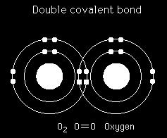 química (covalente) Ligação