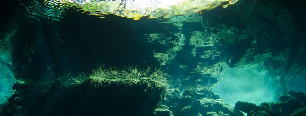 Além disso, esse litoral conta com um mundo aquático subterrâneo formado por centenas de cenotes, que o transformam no lugar ideal e mais visitado para a exploração de cavidades subaquáticas.