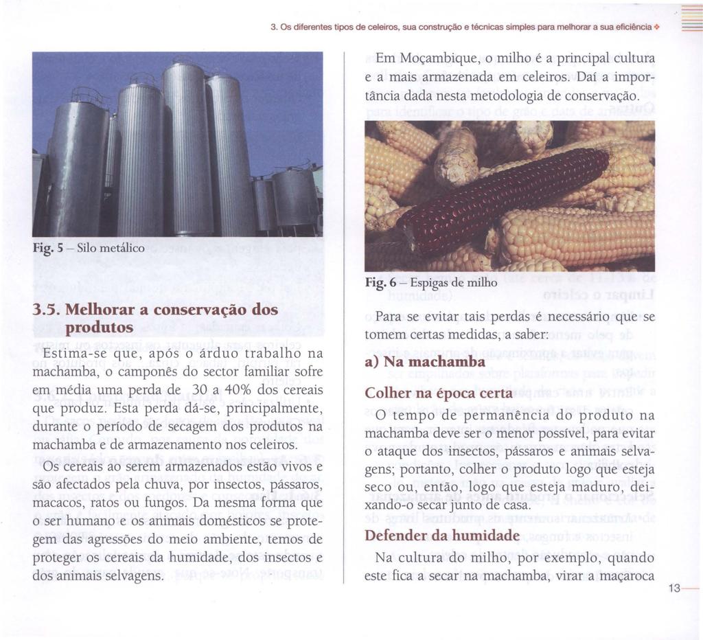 3. Os diferentes tipos de celeiros, sua construção e técnicas simples para melhorar a sua eficiência > Em Moçambique, o milho é a principal cultura e a mais armazenada em celeiros.