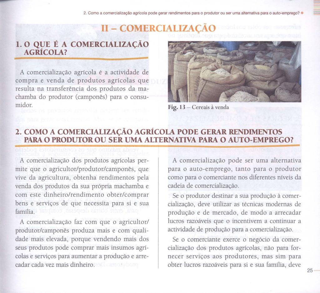 2. Como a comercialização agrícola pode gerar rendimentos para o produtor ou ser uma alternativa para o auto-emprego?! L O QUE É A COMERCIALIZAÇÃO AGRÍCOLA?