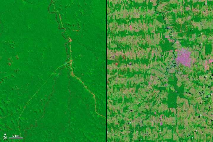 Satellite view of deforestation