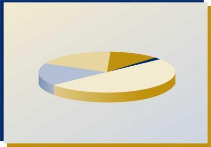 MELHORES PRÁTICAS EM SEGURANÇA DA INFORMAÇÃO POLÍTICA DE SEGURANÇA Está em desenvolvimento 19% Possui, mas está desatualizada 18% Não possui Política