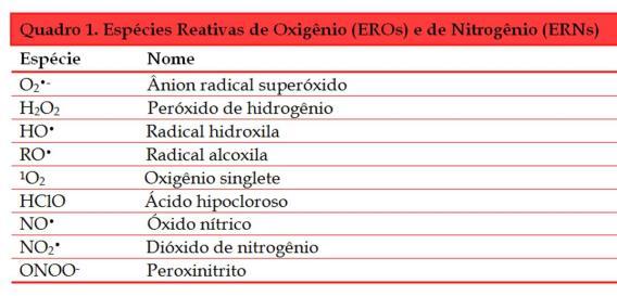 Espécies Reativas de Oxigênio (EROs) Espécies reativas de nitrogênio. O O. Oxigênio molecular -Biradical Dois elétrons não pareados. O O. Ânion Superóxido -Radical Um elétron Não pareado O 2 O 2 -. H.