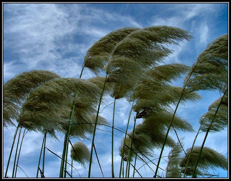 forças da Natureza A Terra