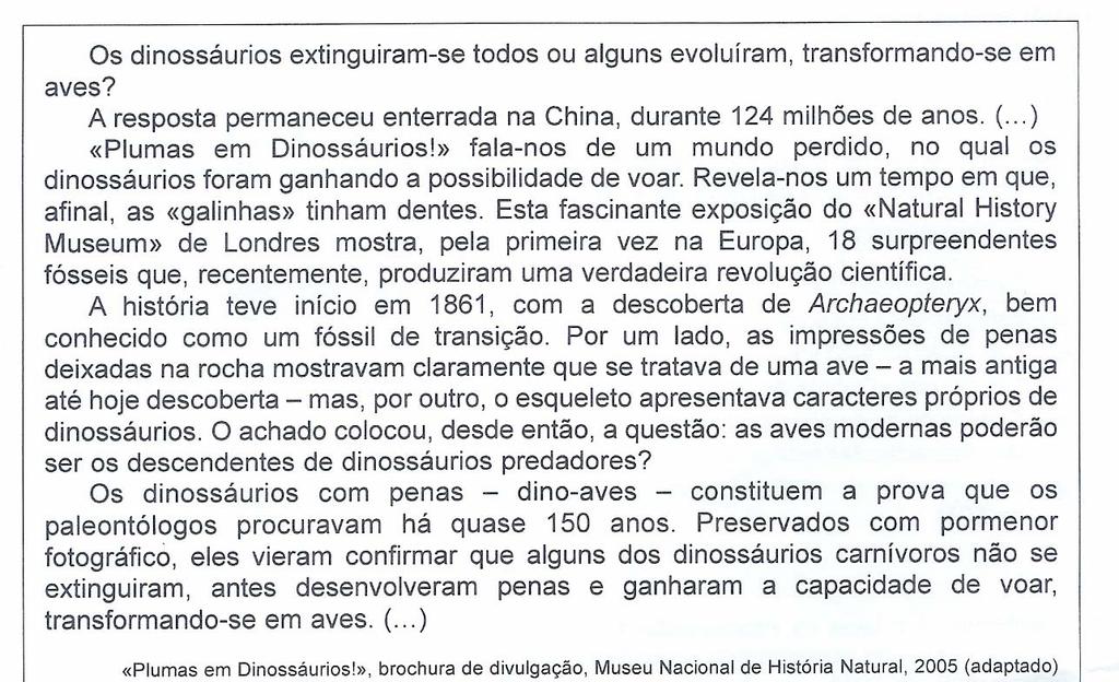 2- O texto seguinte e a figura 4 fazem parte da brochura de divulgação da exposição Plumas em