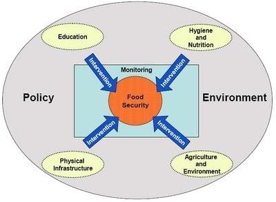 Segurança alimentar Suficiência alimentar integra Segurança desenvolvida com intuito de controlar perigos (físicos, químicos e biológicos) durante 1980s