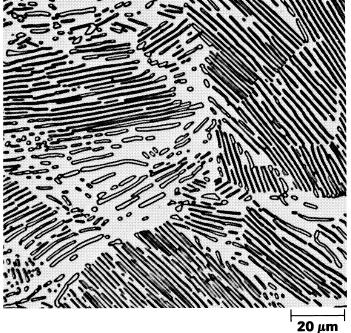 Fig. 3 Micrografia de um aço eutetóide mostrando a perlita Finalmente, o subsequente resfriamento da perlita do ponto eutetóide até a temperatura ambiente produzirá mudanças microestruturais