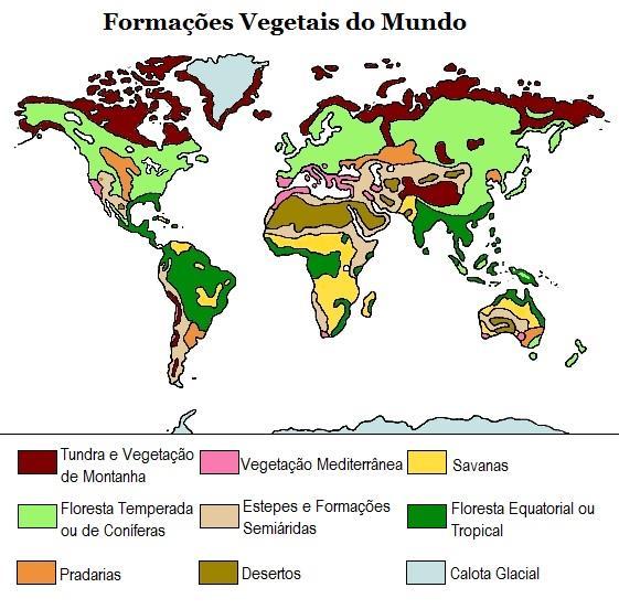 Figura 2 Formações vegetais do mundo Fonte: Fundação Bradesco Em cada um dos biomas do Brasil e do mundo, existe uma forte interação entre a formação vegetal e o clima, como também acontece com a