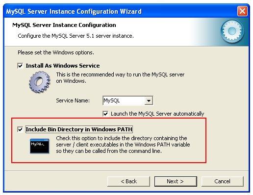 Marque a caixa "Include Bin Directory to Windows PATH".