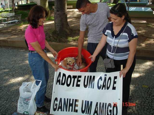 ANEXO I Fotografias da doação de cães da USP na