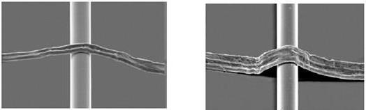 Aspectos selecionados da fibra do eucalipto Neste desenho baseado em três parâmetros NFPG, FFU, RLS, as celuloses regulares no mercado atendem as necessidades de uma máquina tissue convencional, tal