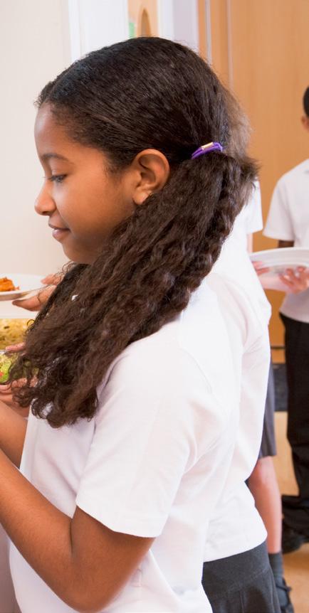 Capítulo 2 - O controle social do PNAE: o Conselho de Alimentação Escolar (CAE) CAPÍTULO 2 O controle social do PNAE: o Conselho de Alimentação Escolar (CAE) 2.