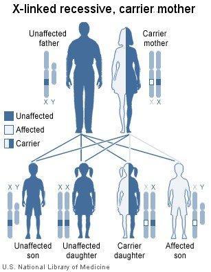 Distúrbio hereditário