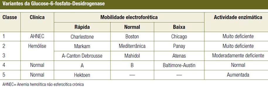 Variantes mutantes existentes Variantes da Glucose 6P desidrogenase Classe 1 Classe 2 e 3 Classe 4 Classe 5 -Actividade enzimática muito baixa; -Conduz a uma forma rara de anemia hemolítica não