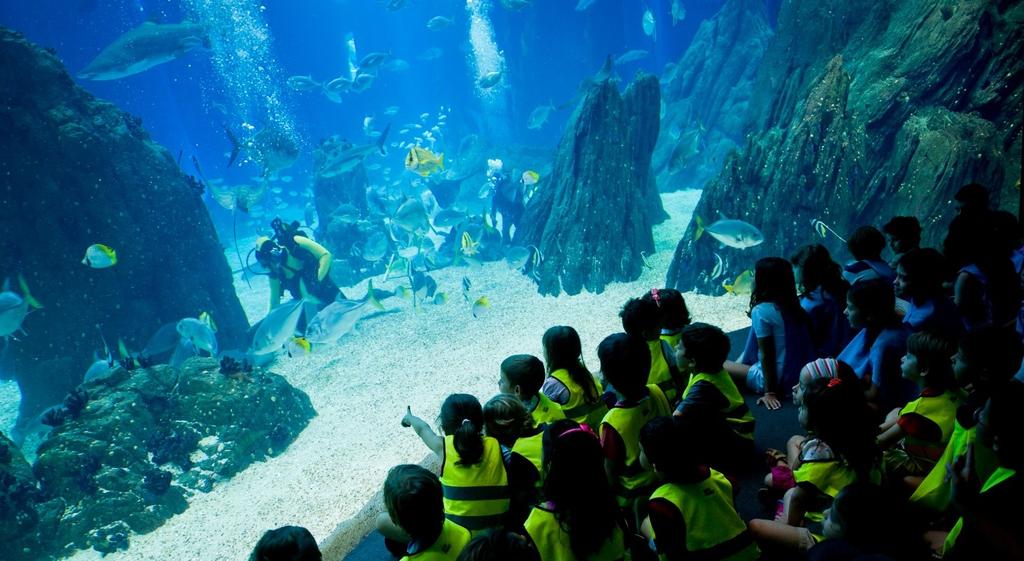 Peixes e companhia (3ª Feira) Desde as mais pequenas formas de vida até ao maior animal que habita o nosso planeta, a baleia-azul, podemos encontrar no oceano organismos únicos, com uma grande