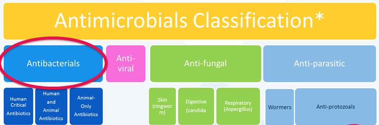 Antimicrobials vs Antibiotics * Based on HMA (Heads of