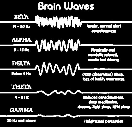 Frequências Cerebrais BETA A consciência de despertar e a onda do raciocínio ALPHA A onda do relaxamento