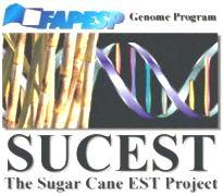 for improving sugarcane Science and Technology of